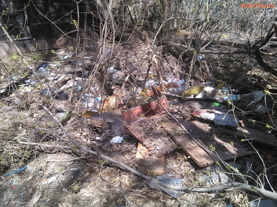 Курск - Мусора нет!