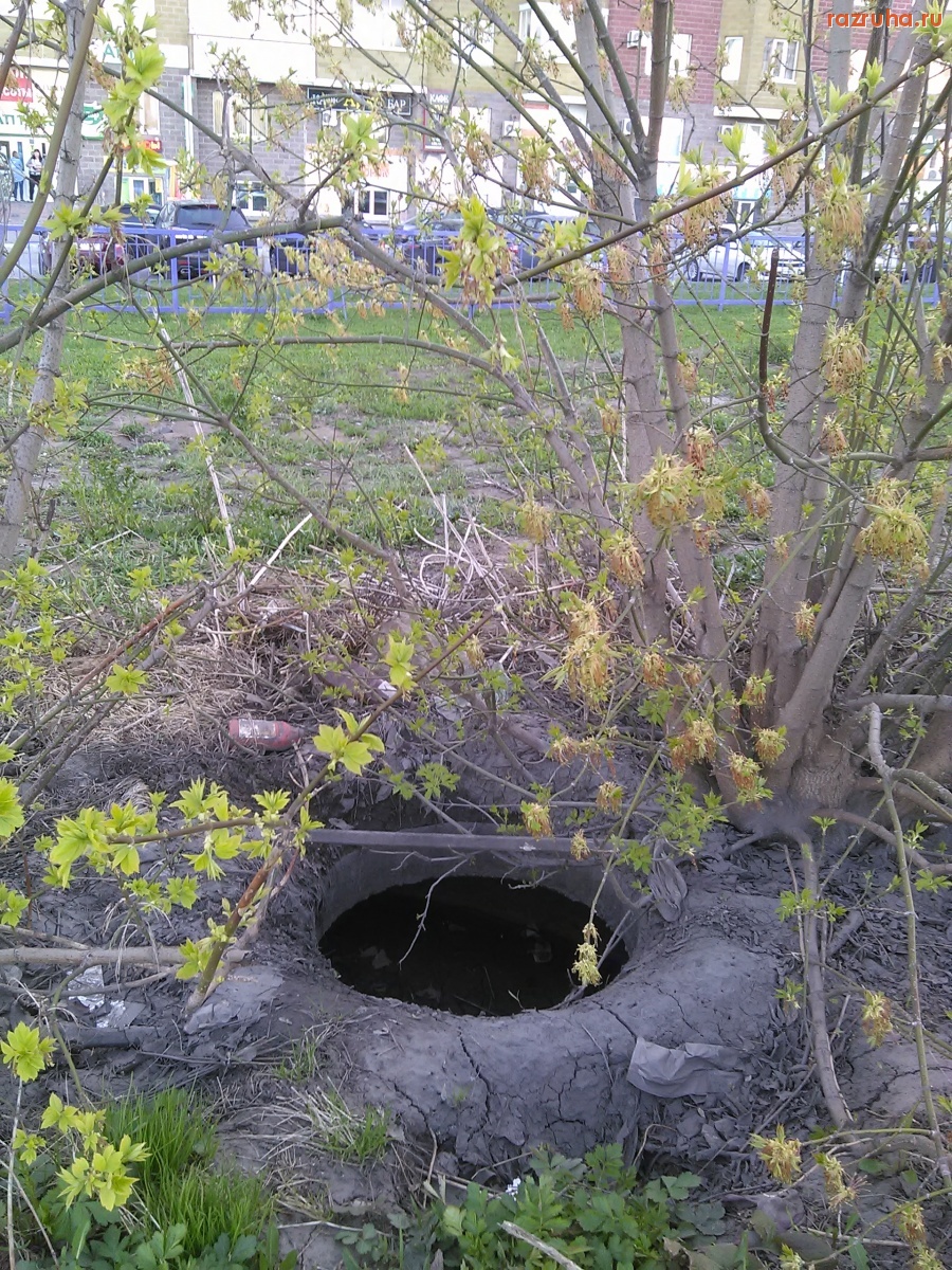 Курск - Люк под кустом