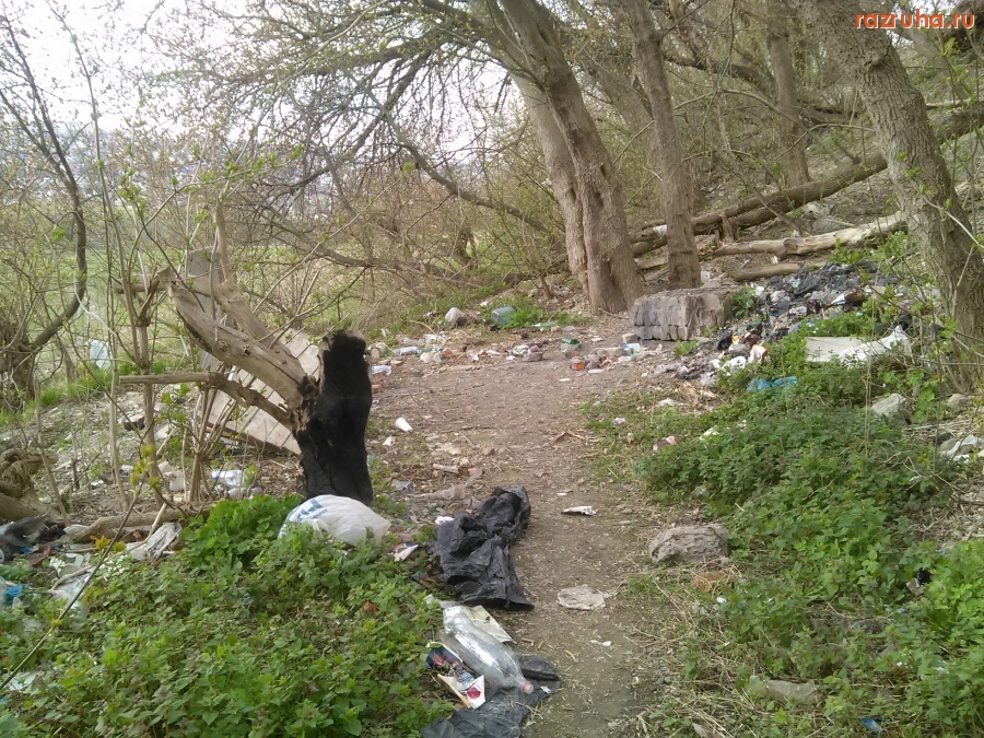 Курск - Посидели