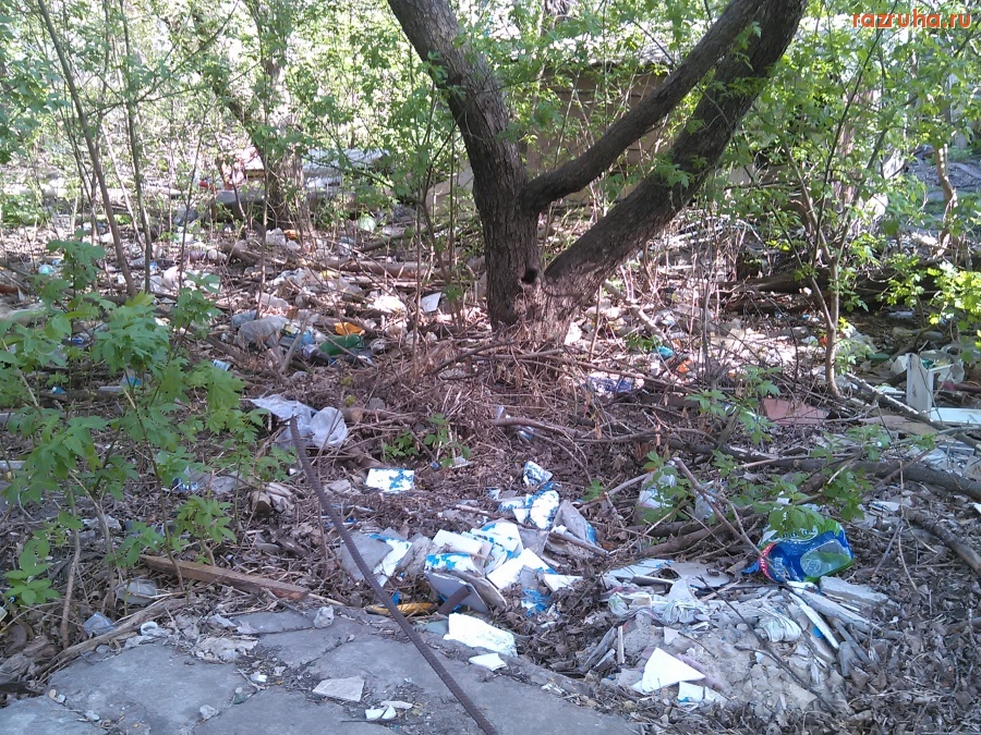 Курск - Мусор у тропы
