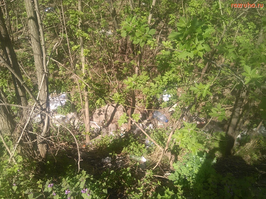 Курск - Заросший котлован