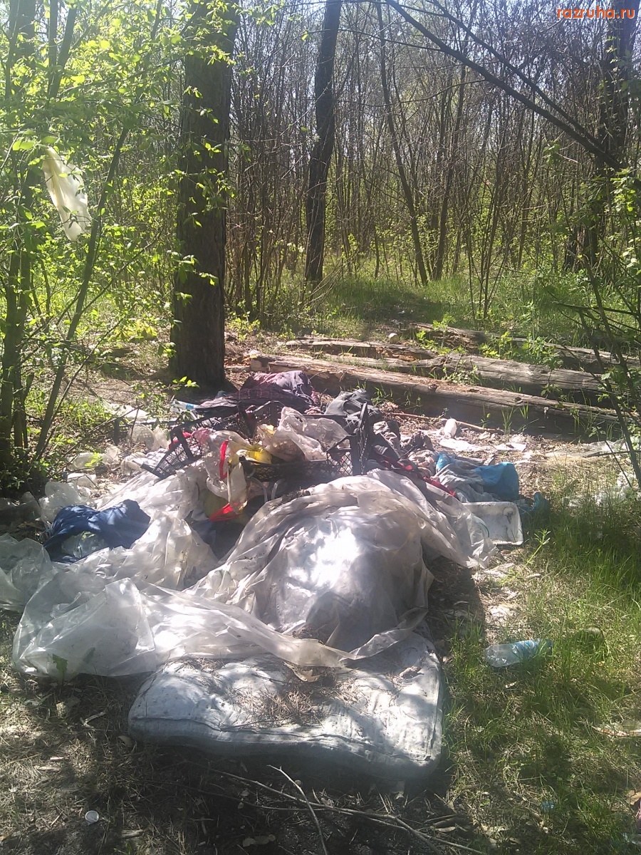 Курск - Гадят в Соловьиной роще