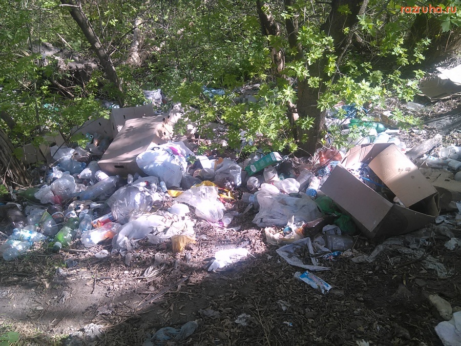 Курск - Гадят с остановки