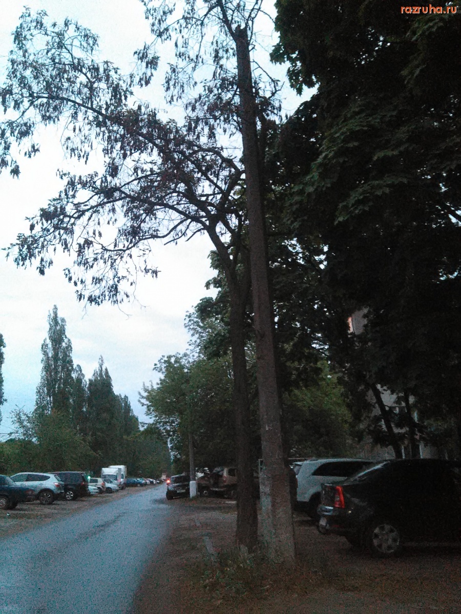 Курск - Освещения нет и не надо