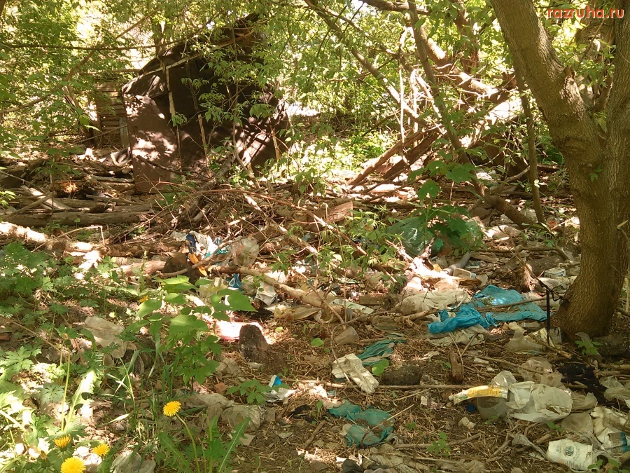 Курск - Чистоты нет