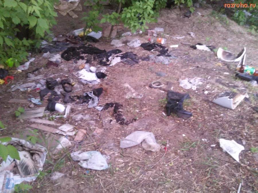 Курск - Мусор в кустах