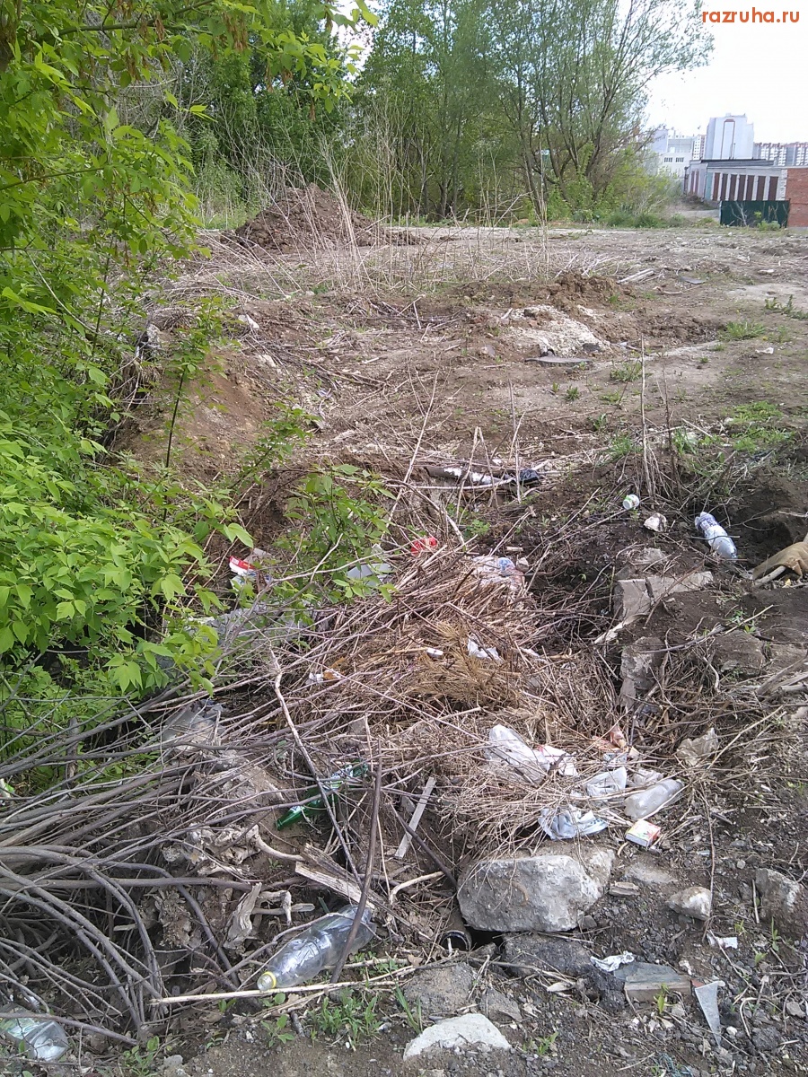 Курск - Уничтожили болото