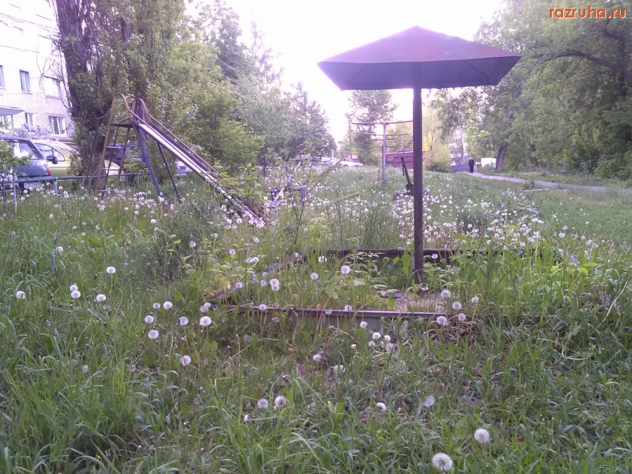 Курск - Песочница в одуванчиках
