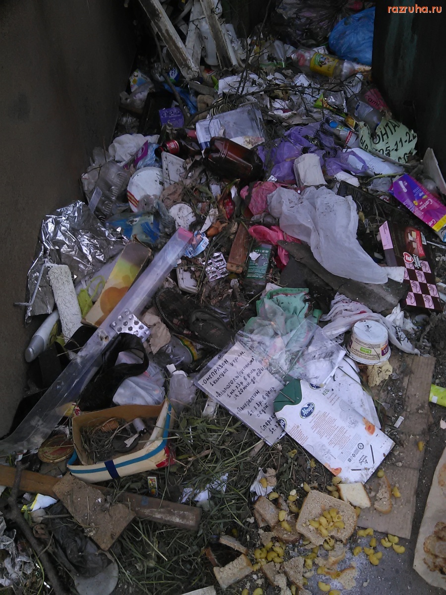 Курск - Помойная реформа не дошла