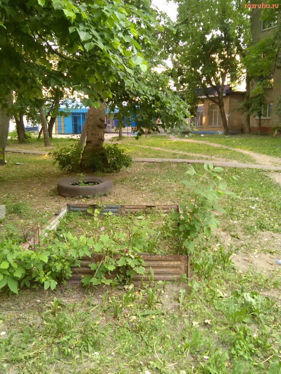 Курск - Песочница заросла