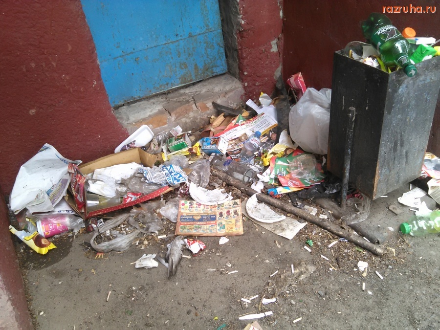 Курск - Гадят в уголке