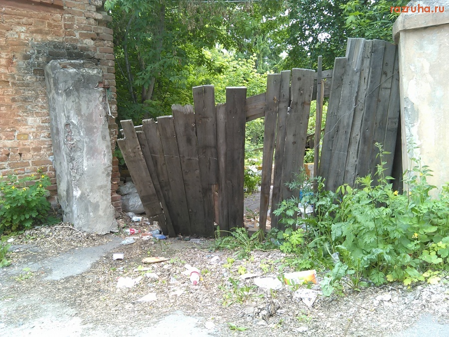 Курск - В лесу за гаражами