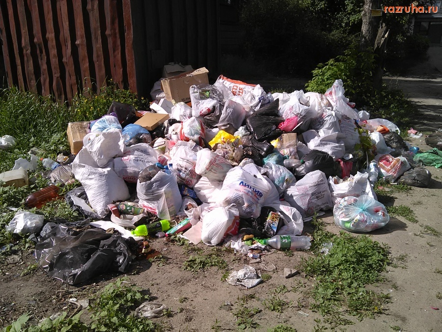 Курск - На дороге к библиотеке