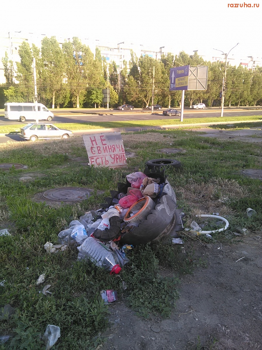 Курск - Чисто типа