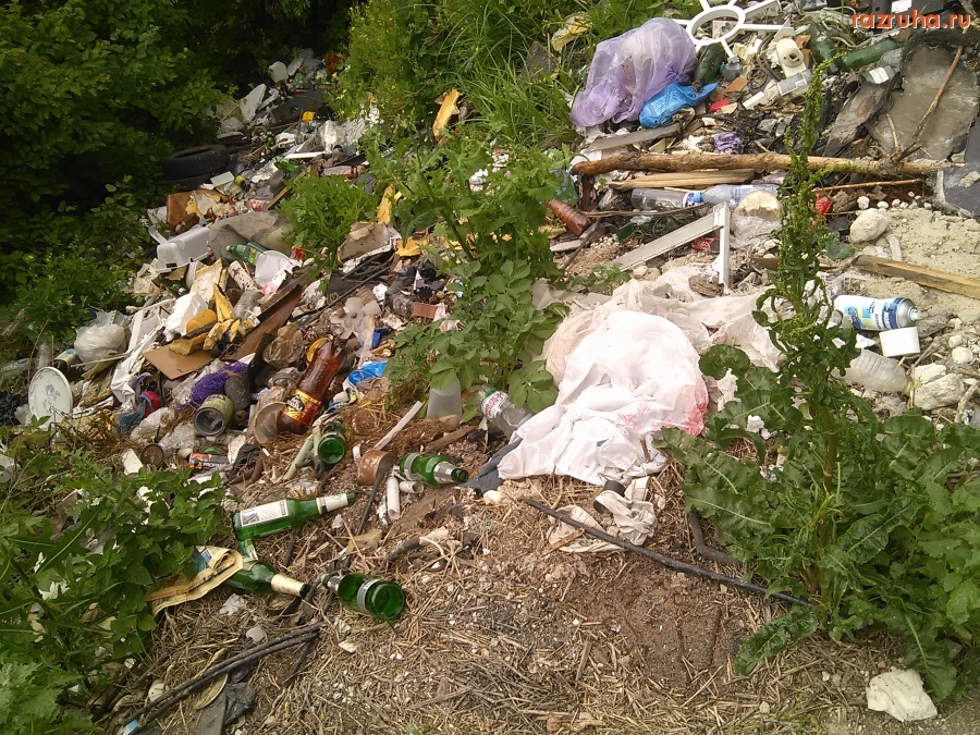 Курск - В лес с гаражей