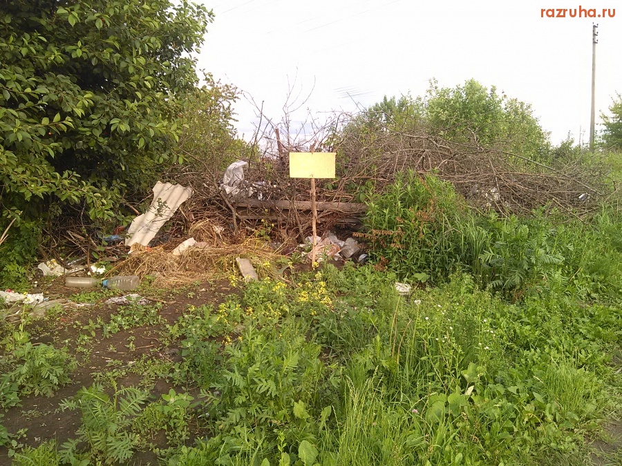 Курск - Куча веток