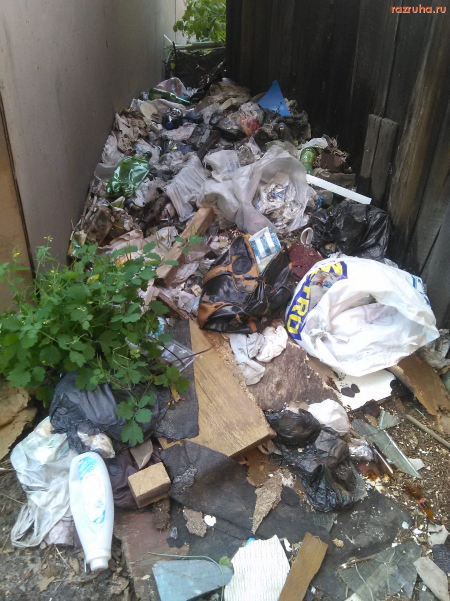 Курск - Развели помойку