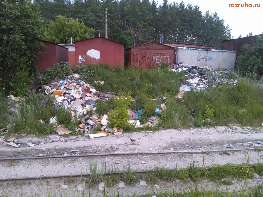 Курск - Гадят у дороги