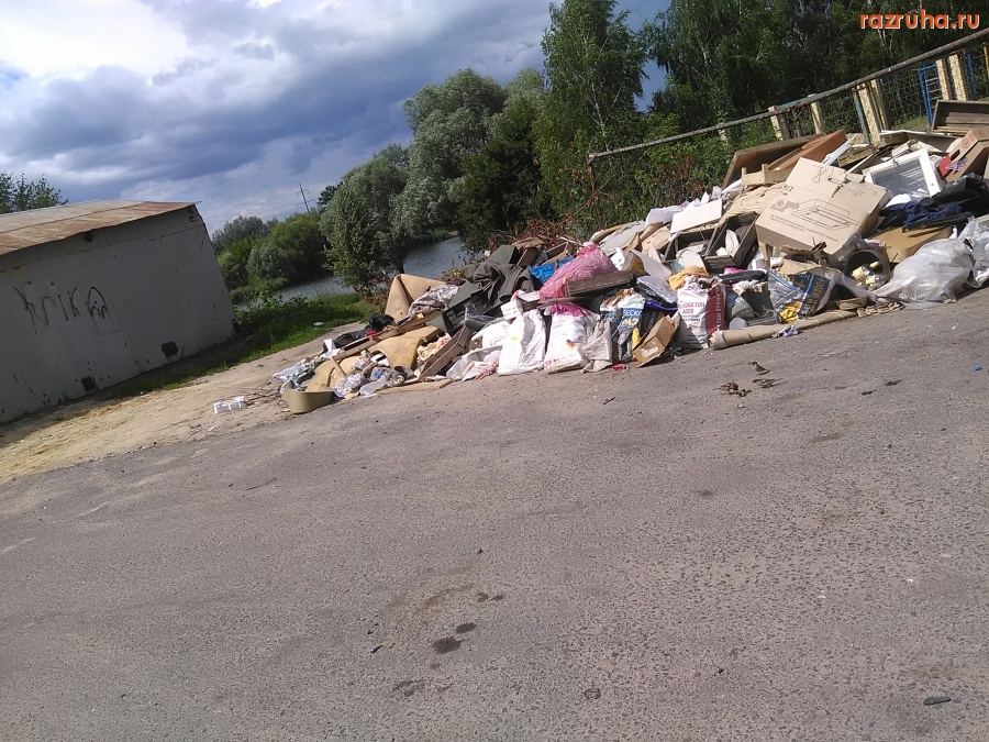 Курск - Кучка у помойки