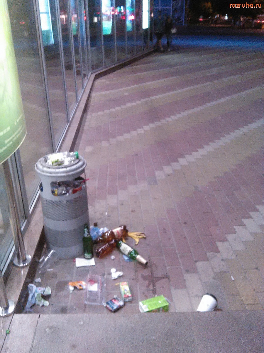 Курск - Свинство у входа