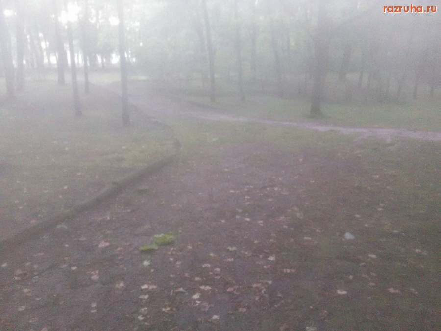 Курск - Тропинки