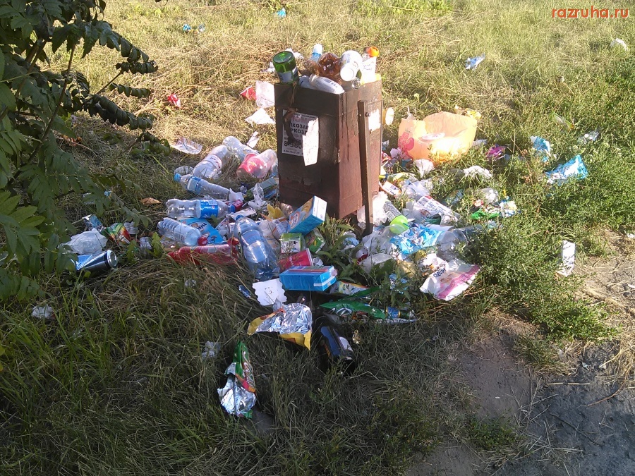 Курск - Чистая урна