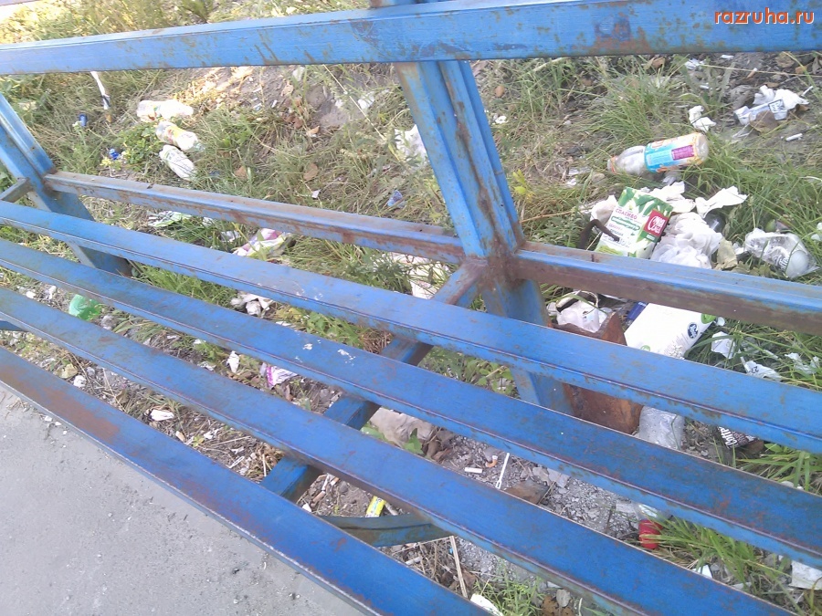 Курск - Демонстрация свинства