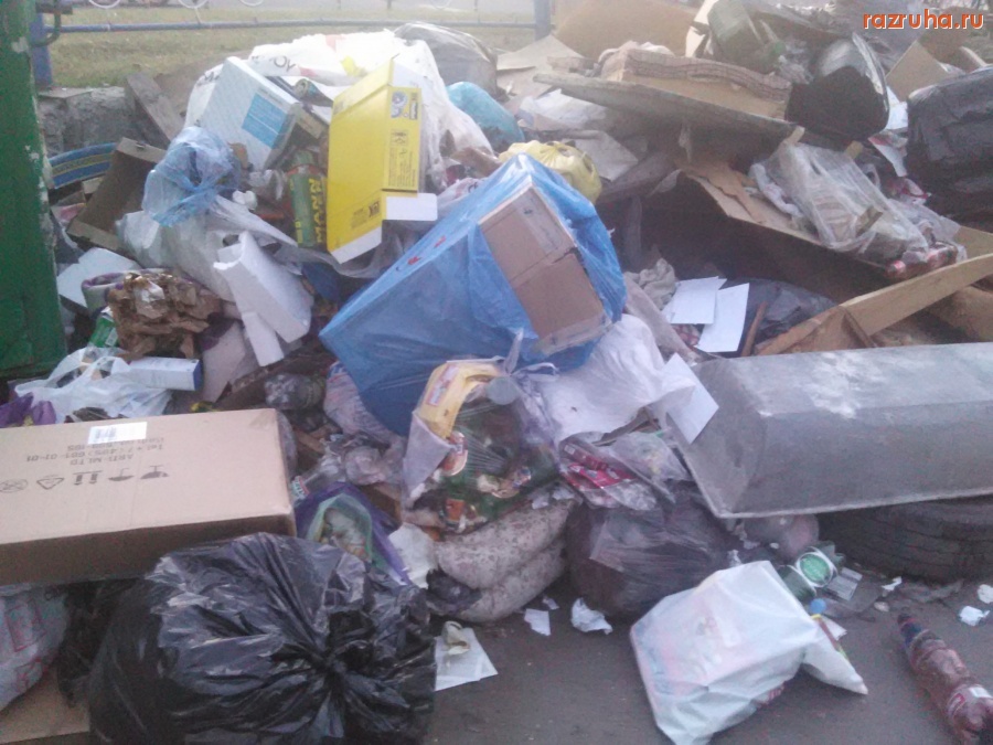 Курск - Помойные хроники