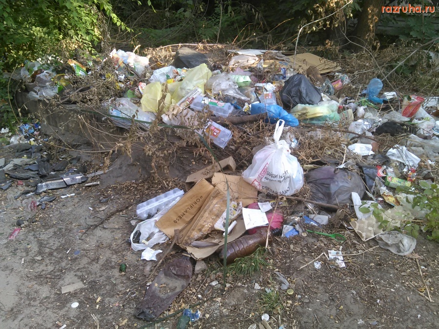 Курск - Устроили помойку