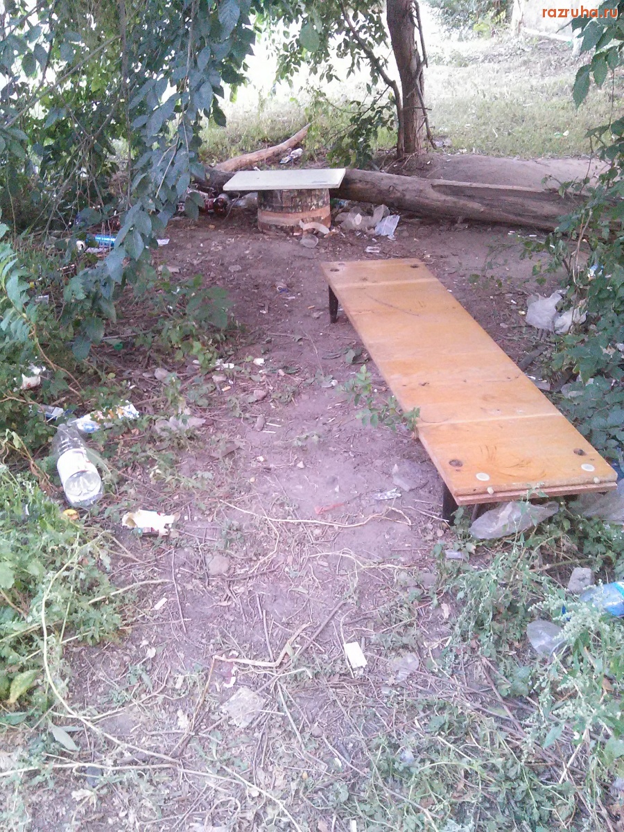 Курск - Быдлятник