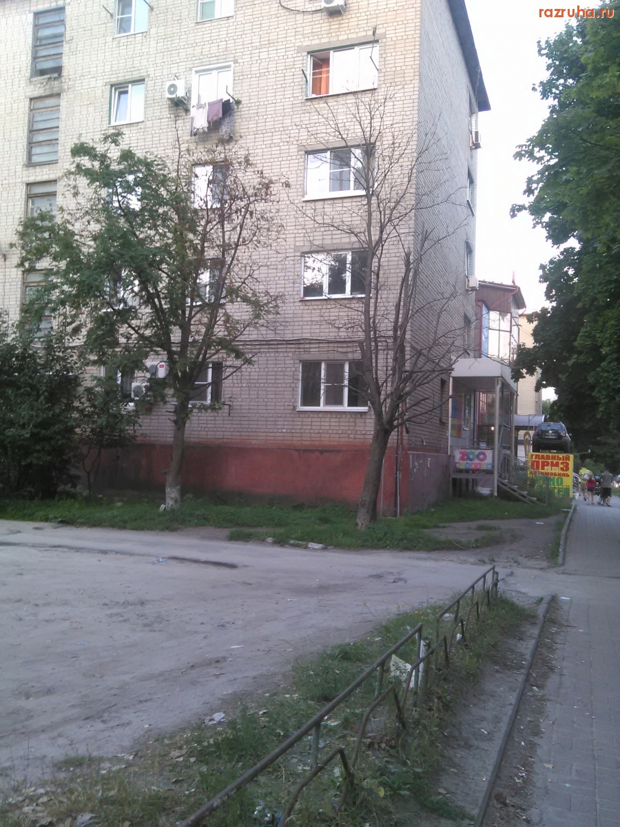 Курск - Дерево высохло