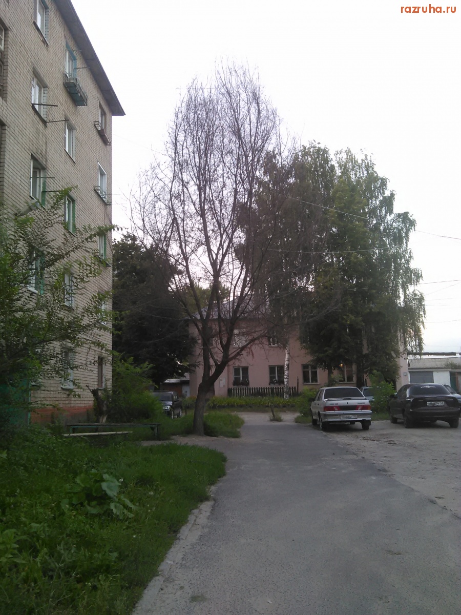 Курск - Высохшее дерево