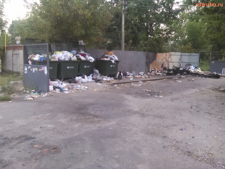 Курск - Помойка 88 Энгельса