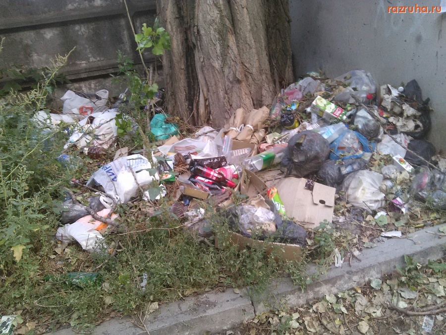 Курск - Нагадили