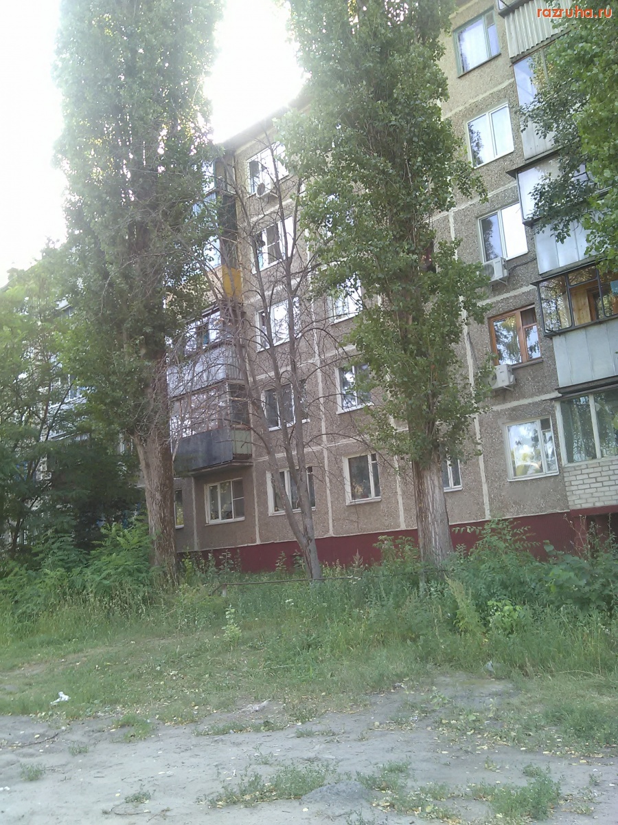 Курск - Дерево высохло