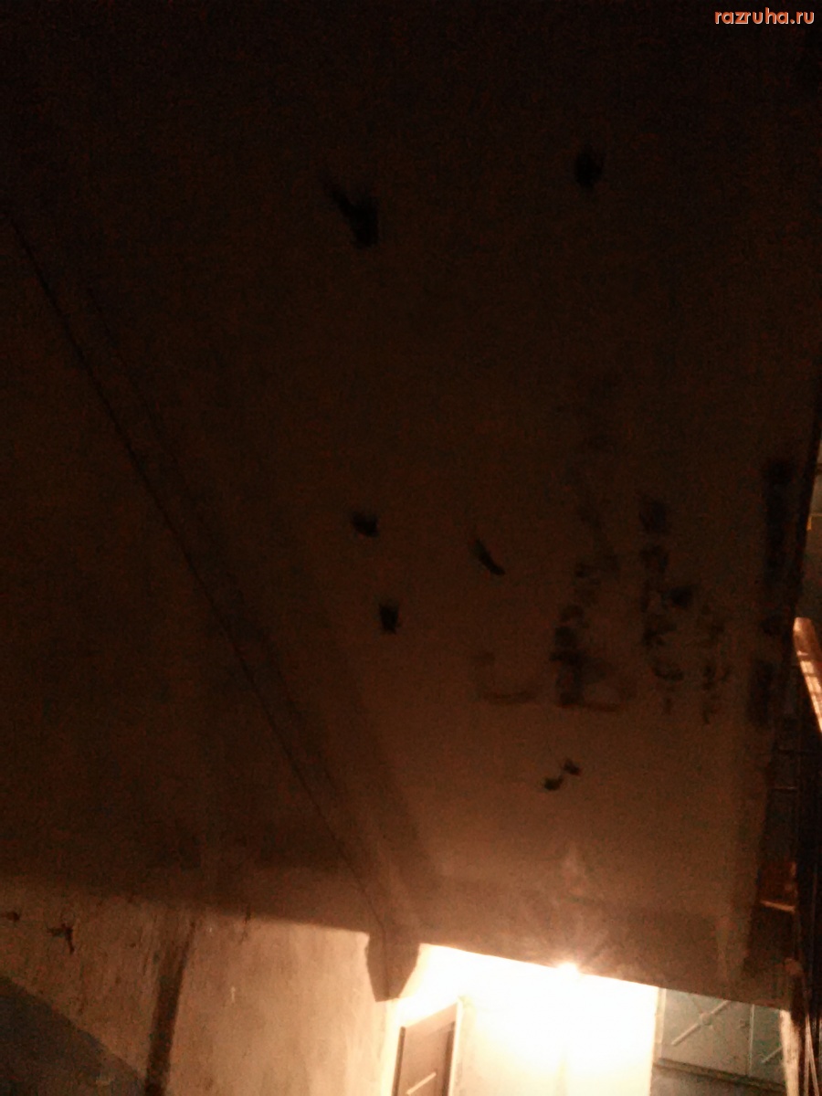 Курск - Подъездное убожество