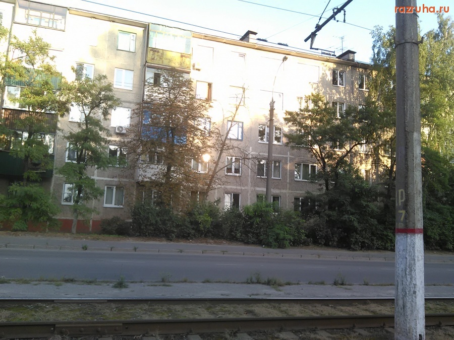 Курск - Высохшее дерево