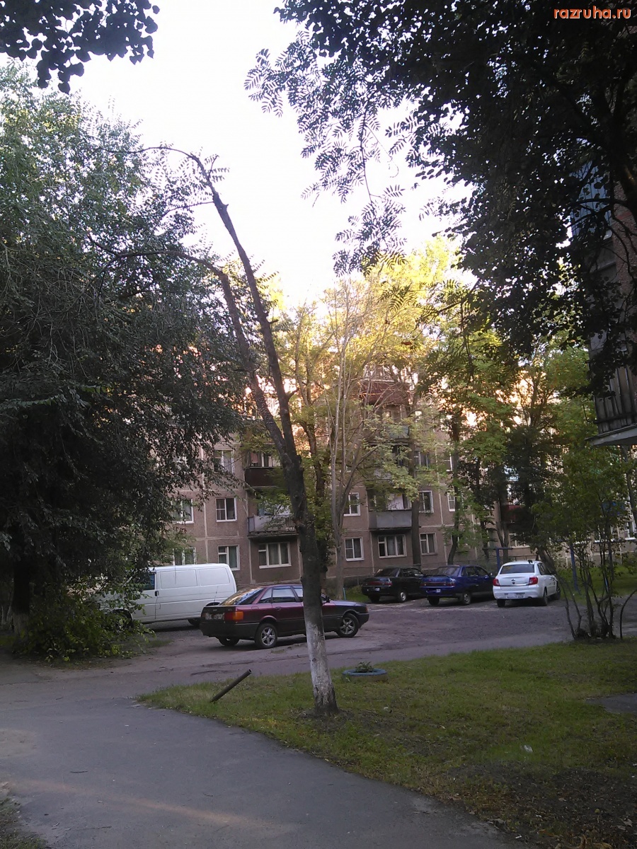 Курск - Остатки дерева