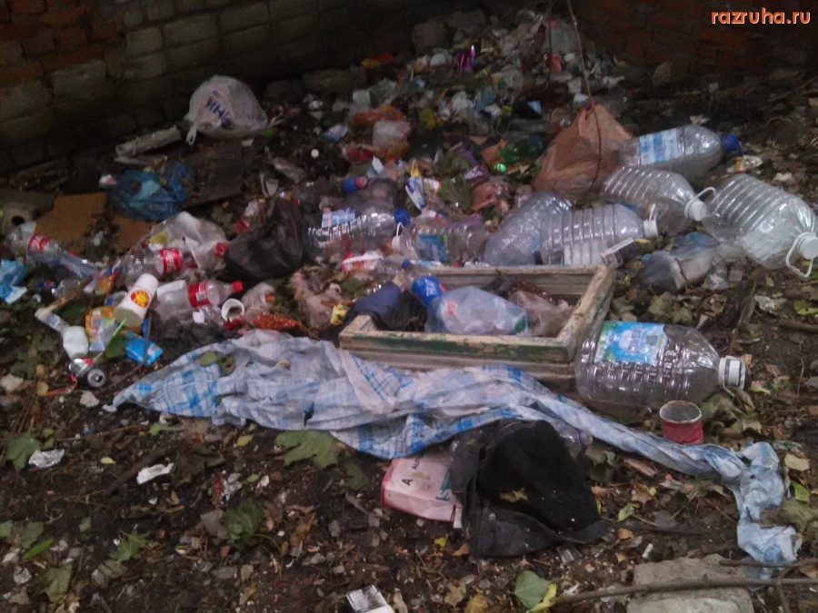 Курск - Вечно гадят