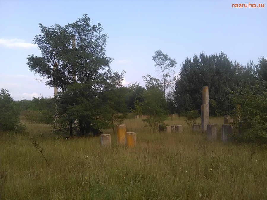 Курск - Сваи в лесу