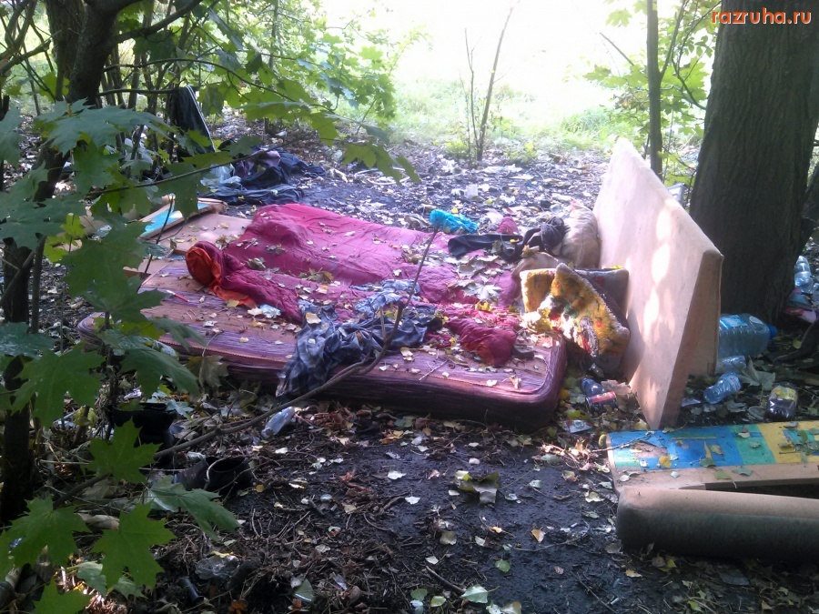 Курск - Летний бомжатник