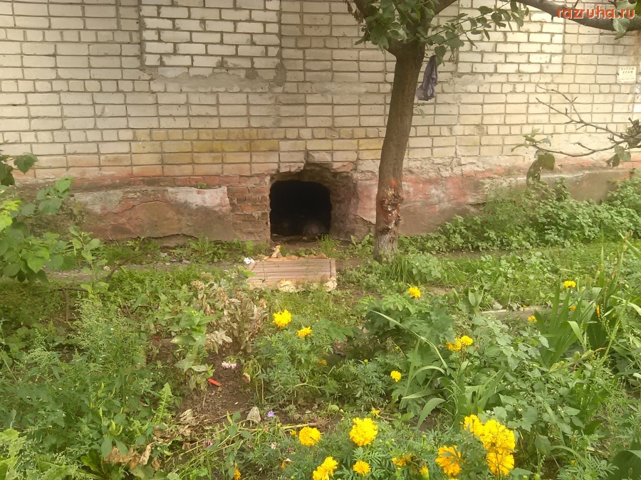 Курск - Озеро в подвале