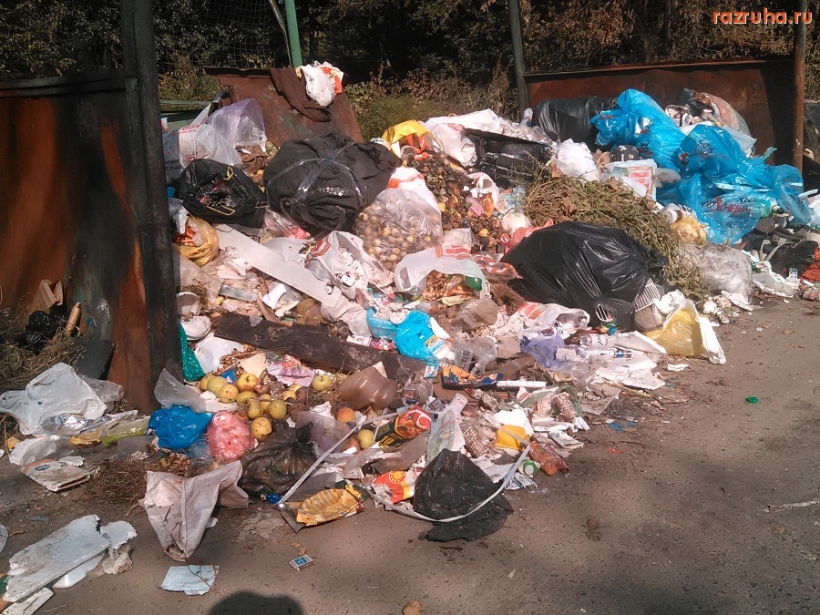 Курск - Стабильно на мусорке