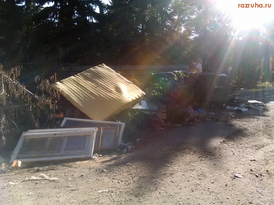 Курск - Свинство помойное