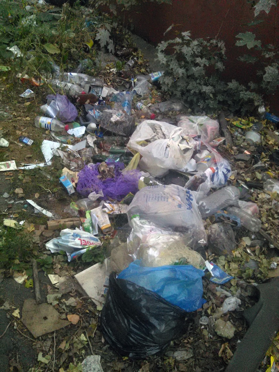 Курск - Нагадили у будки