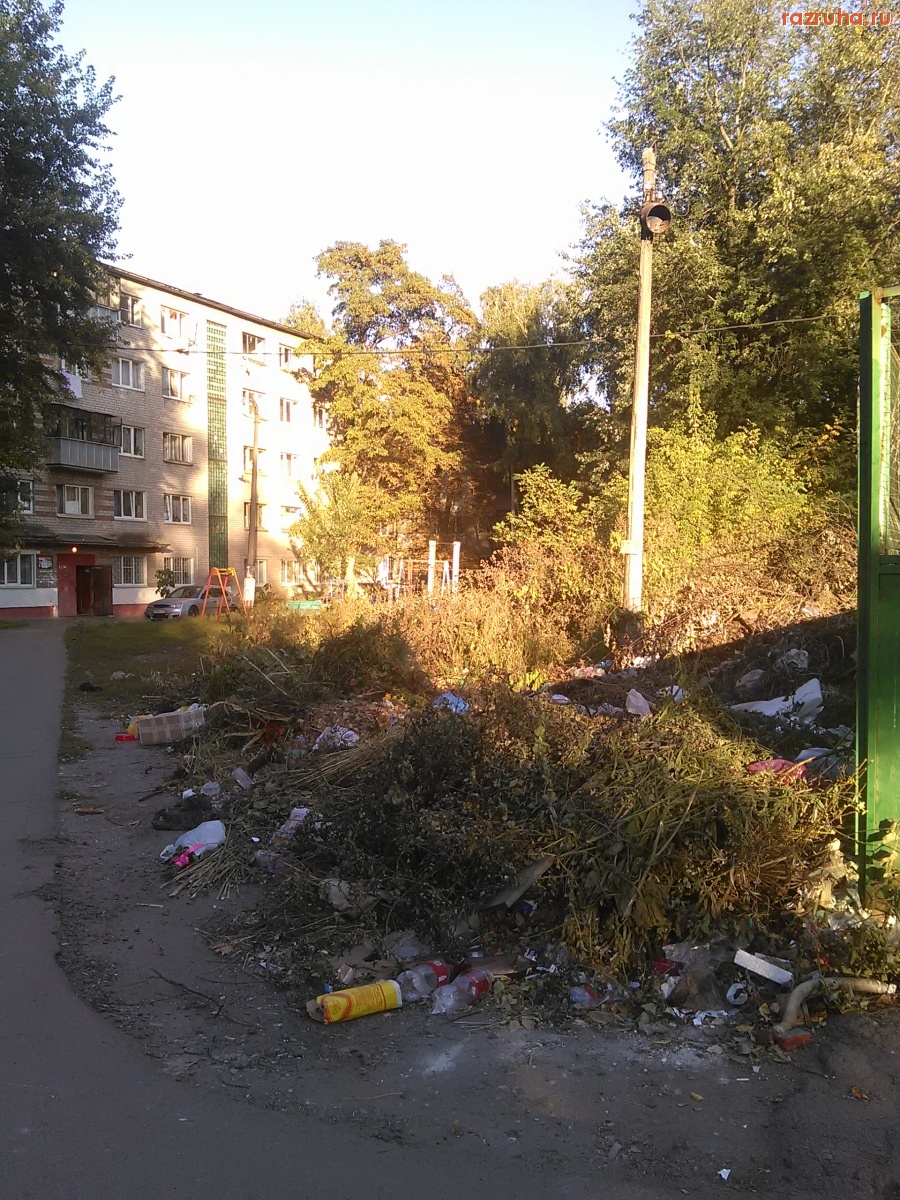 Курск - Развели кучу