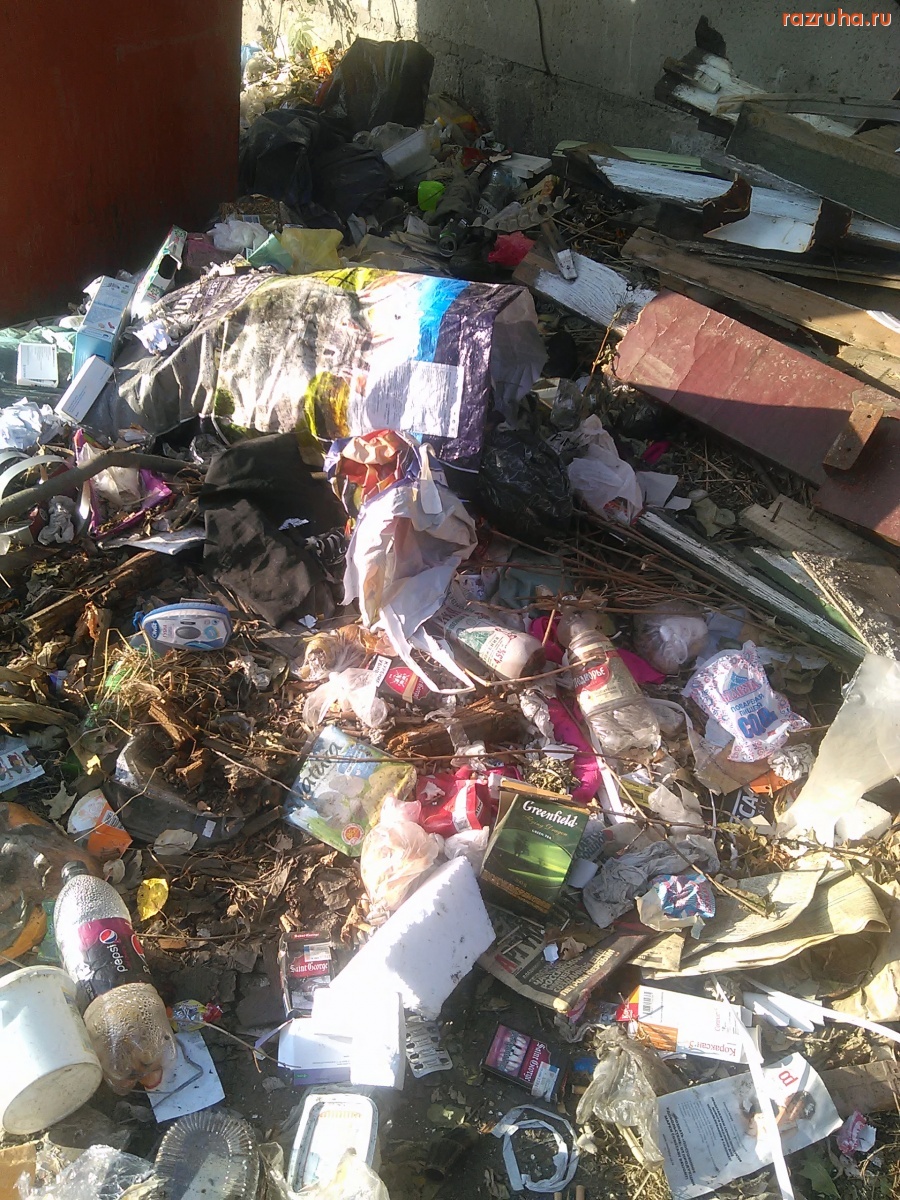 Курск - Загажена помойка