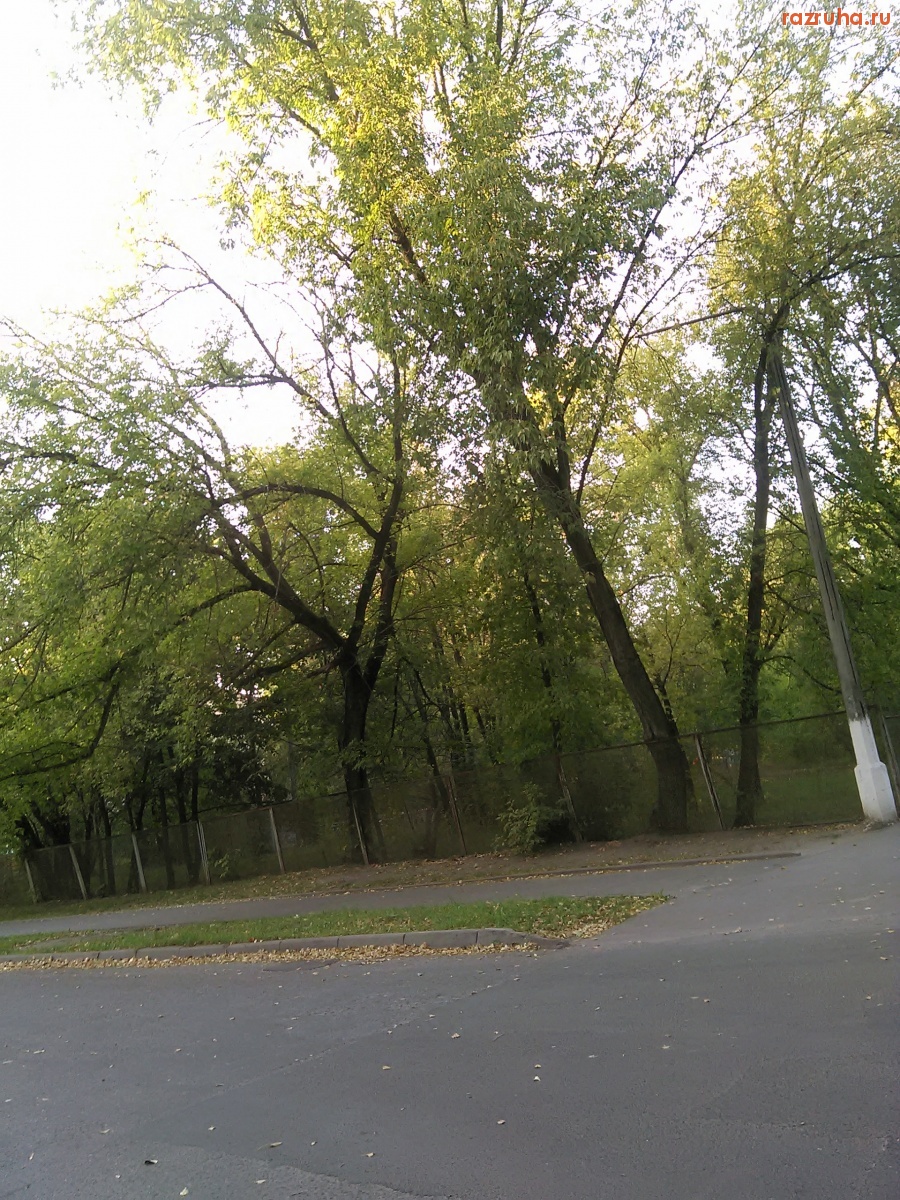 Курск - Столб без фонаря