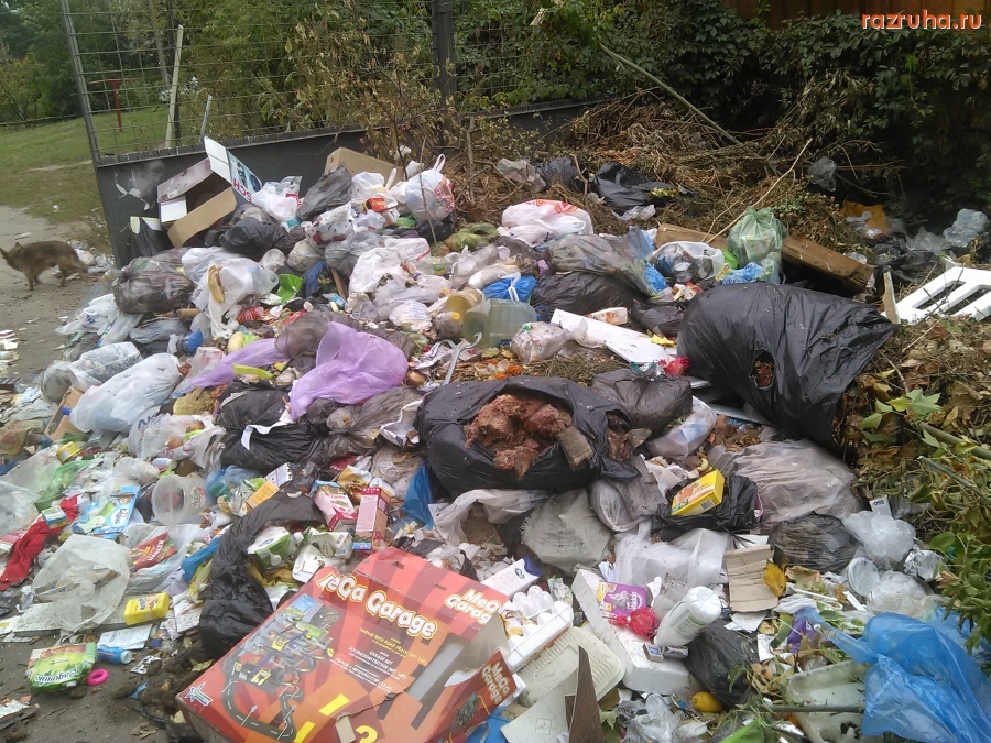 Курск - Сериал про помойку у 3 школы