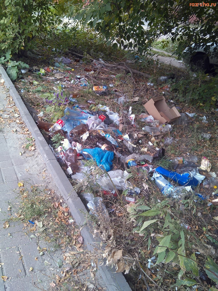 Курск - Гадят